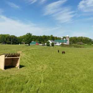 Pasture Horse Board Oswego County New York