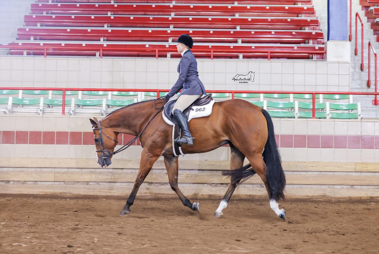 503177850_9868669419912451_3048049015720082105_n