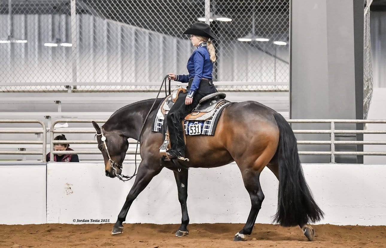 608777219_25512616181757856_2217234920257634782_n