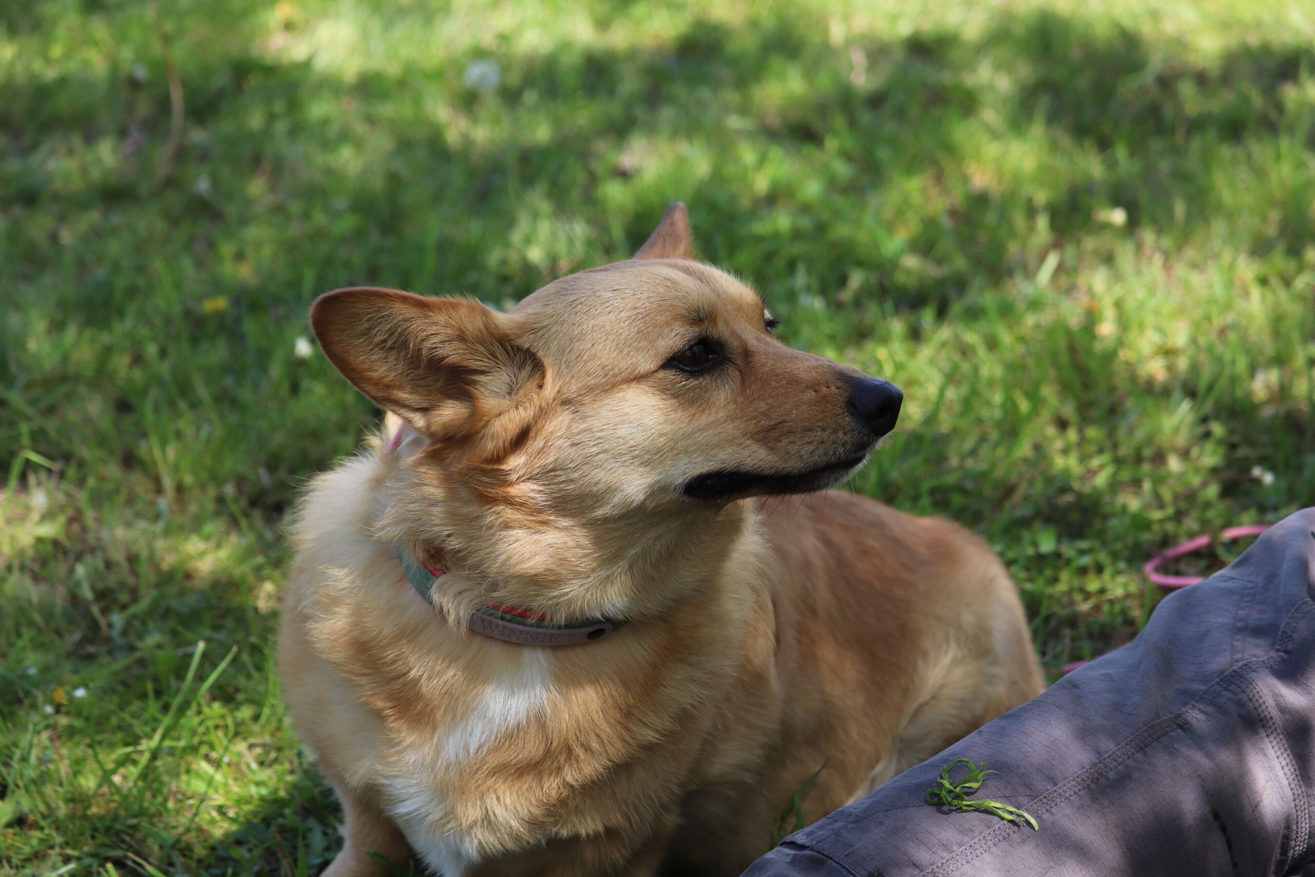 Winnie