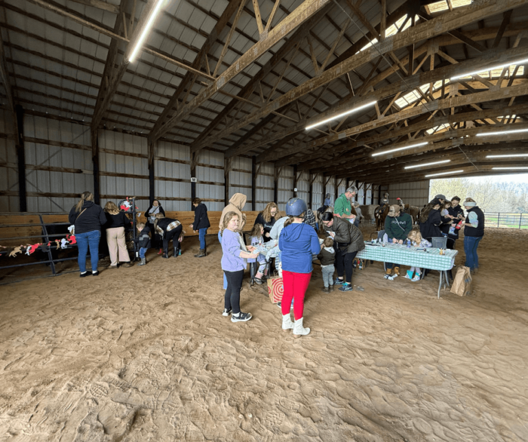 64-1