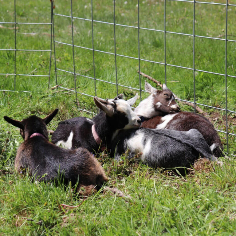 Kid-cuddle-pile-1024x1024