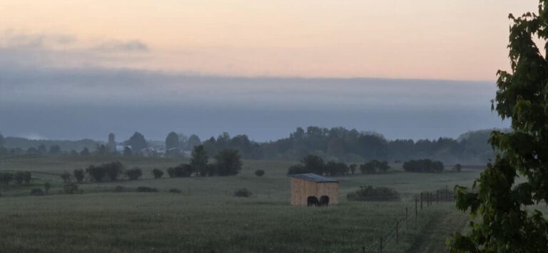 image00014-1024x473